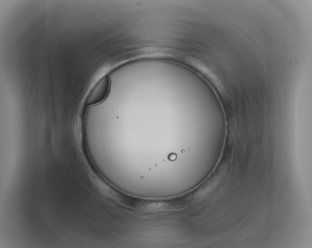 X0000111951467200908101212