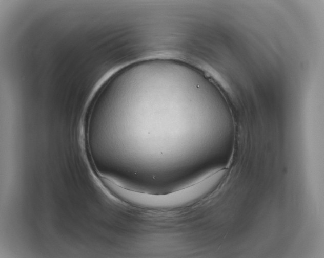 X0000111951468200908101212
