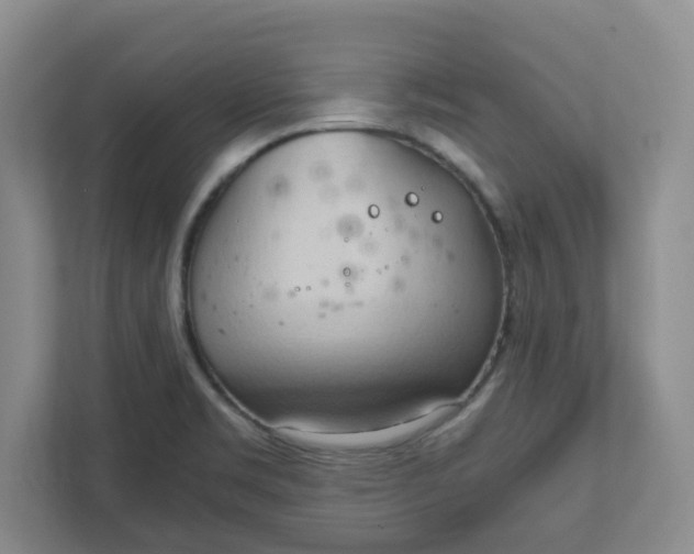 X0000111951469200908101212