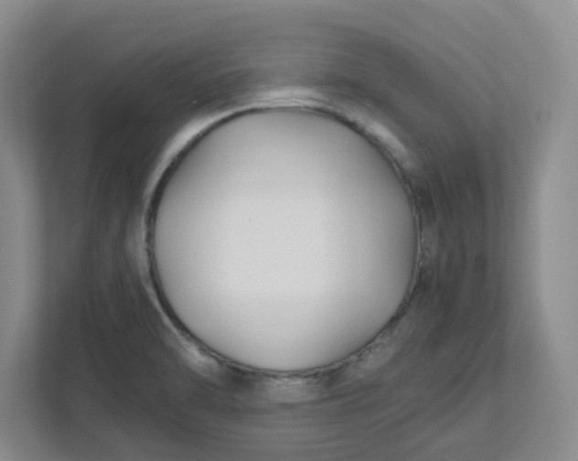 X0000111951470200908101212