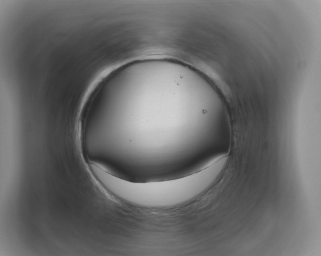 X0000111951472200908101212