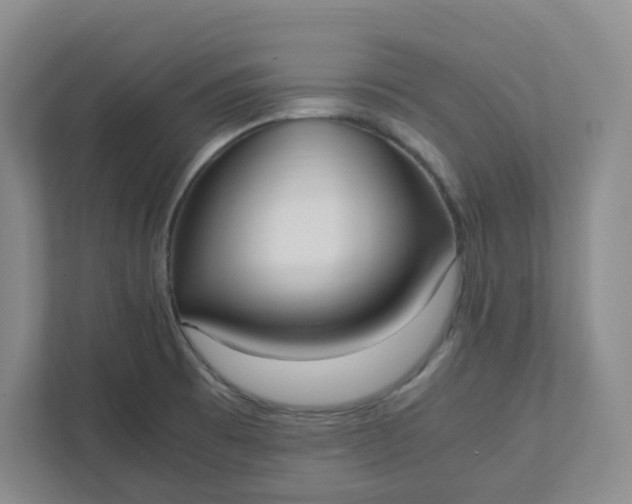 X0000111951473200908101212