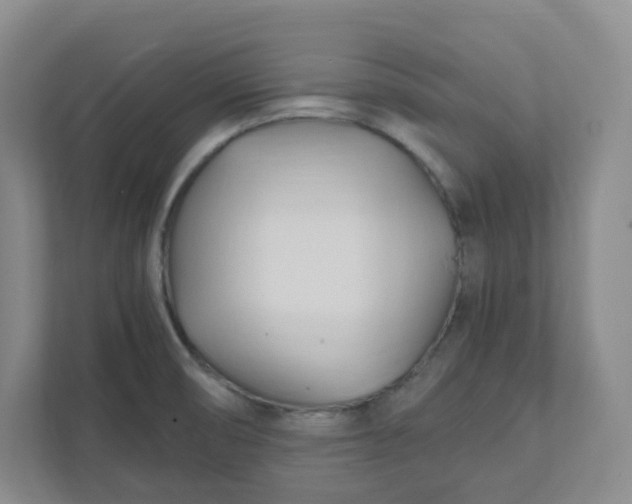 X0000111951474200908101212
