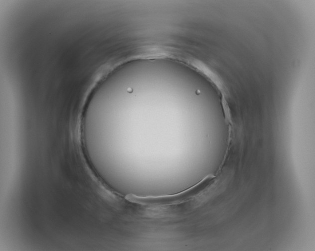 X0000111951477200908101212