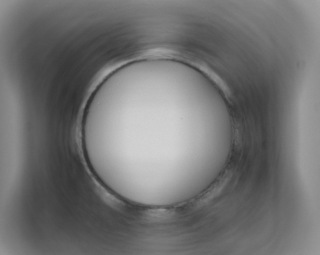 X0000111951478200908101212
