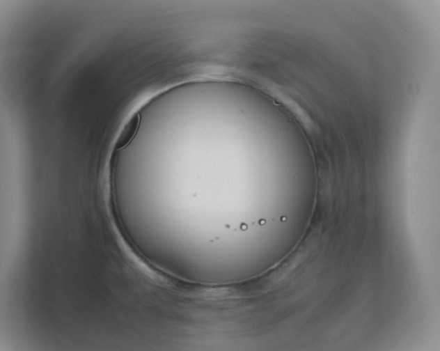 X0000111951479200908101212