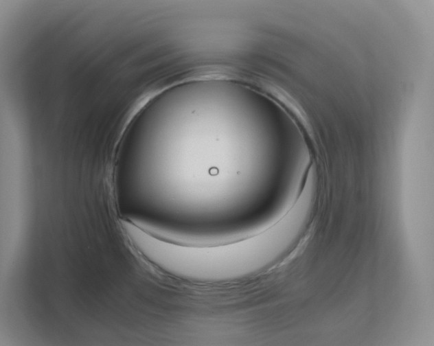 X0000111951481200908101212