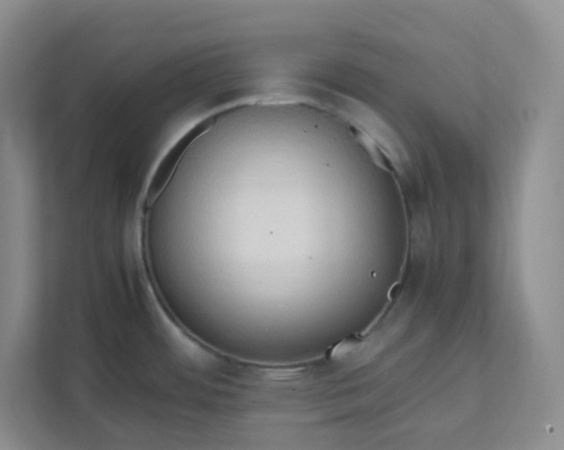 X0000111951484200908101212