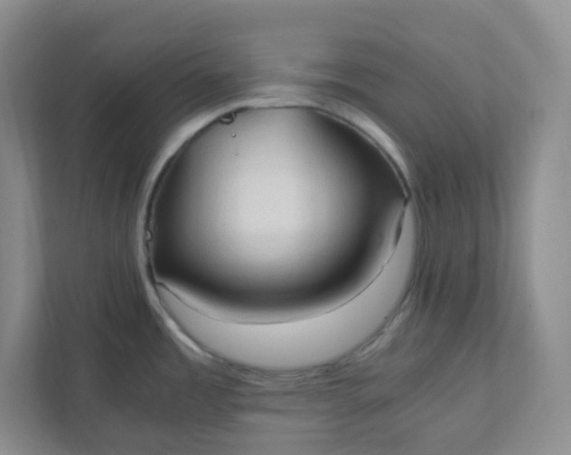 X0000111951485200908101212