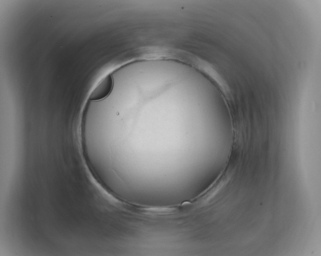 X0000111951487200908101212