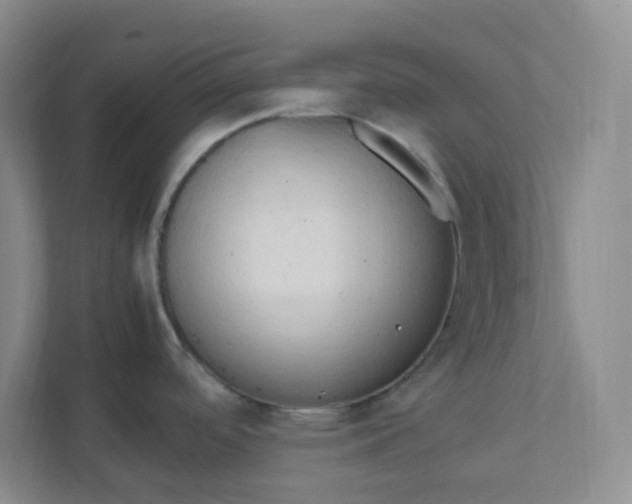 X0000111951488200908101212