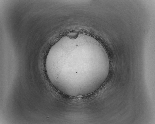 X0000111951489200908101212