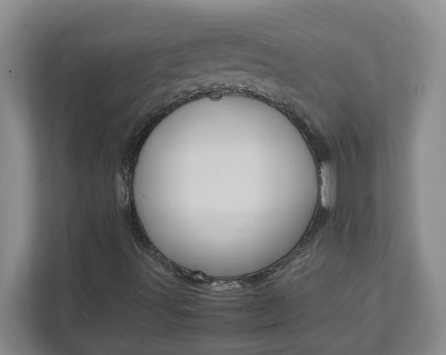 X0000111951491200908101212