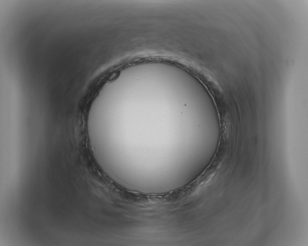 X0000111951494200908101212