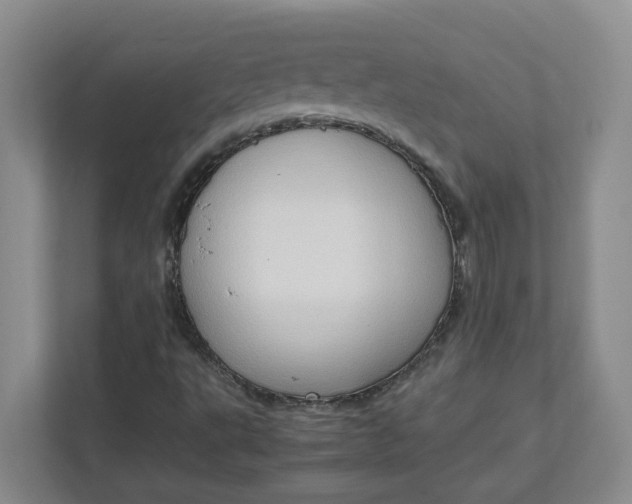 X0000111951495200908101212