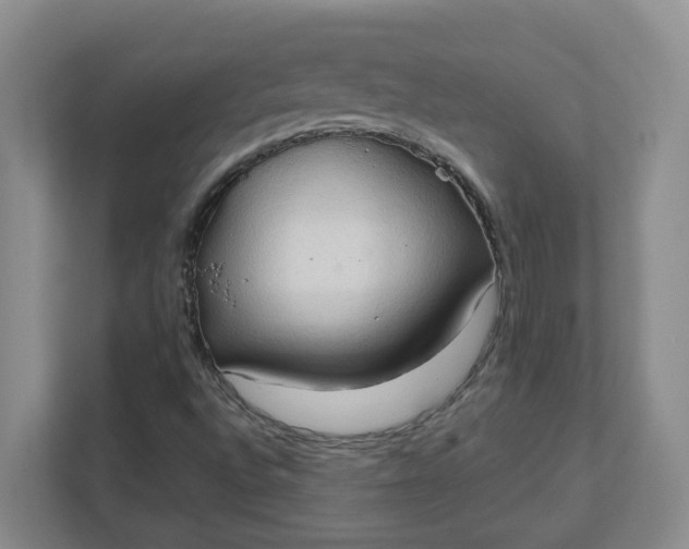 X0000111951496200908101212