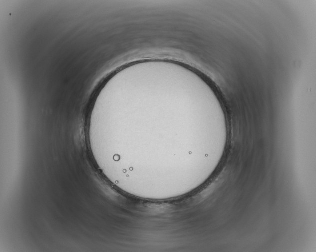 X0000111951498200908101212
