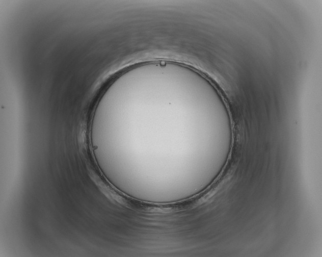 X0000111951499200908101212