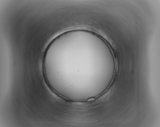 X0000111951500200908101212