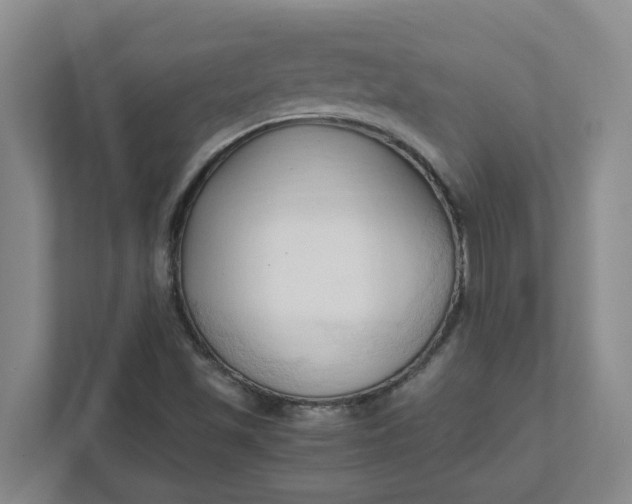 X0000111951501200908101212