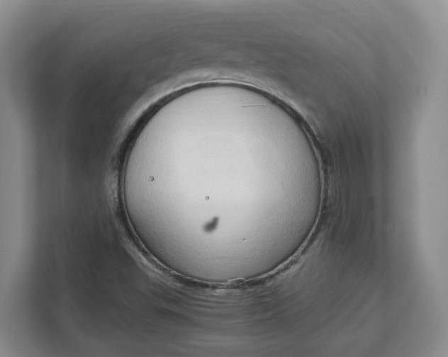 X0000111951503200908101212