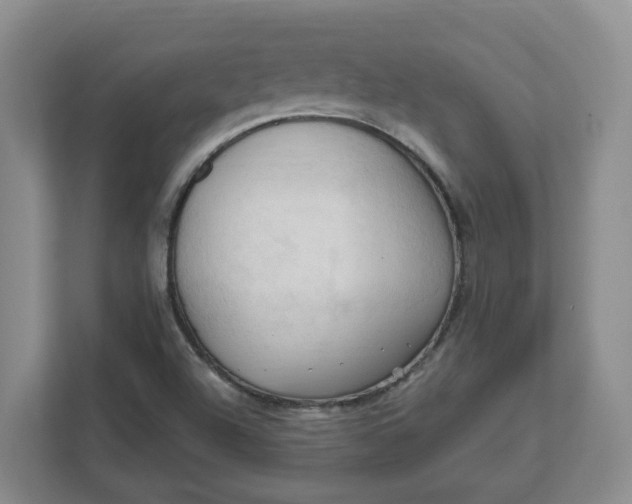 X0000111951504200908101212