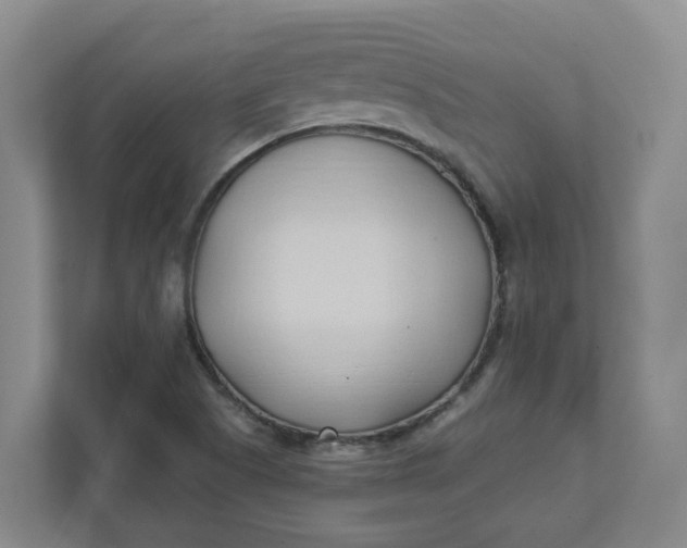 X0000111951505200908101212
