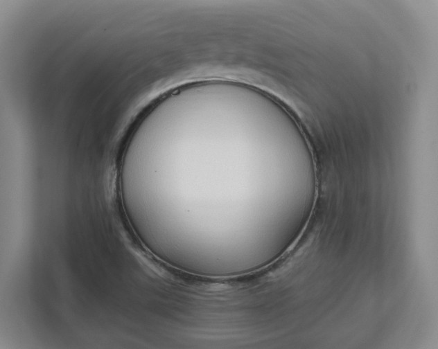 X0000111951507200908101212