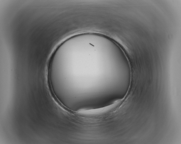 X0000111951508200908101212