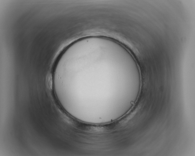 X0000111951509200908101212