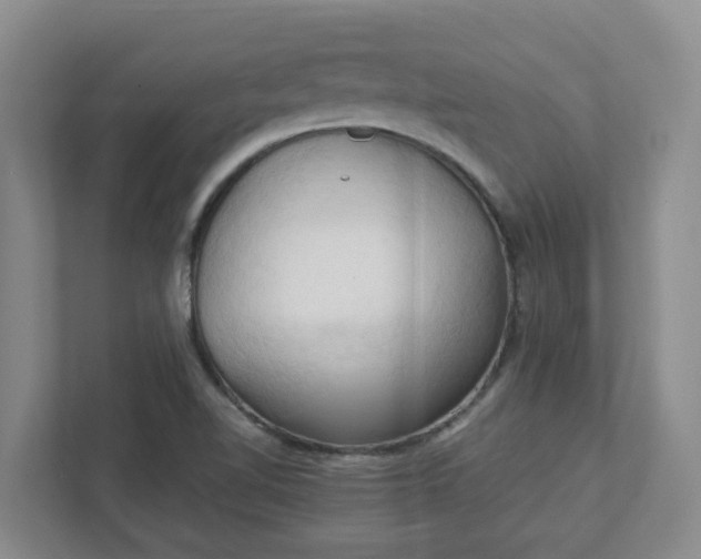 X0000111951510200908101212
