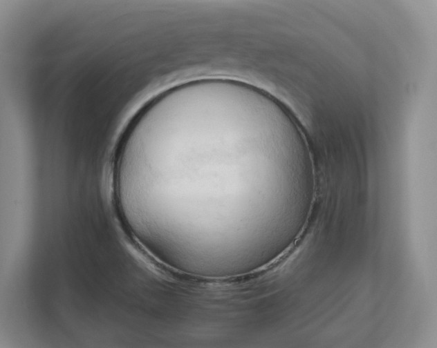 X0000111951511200908101212