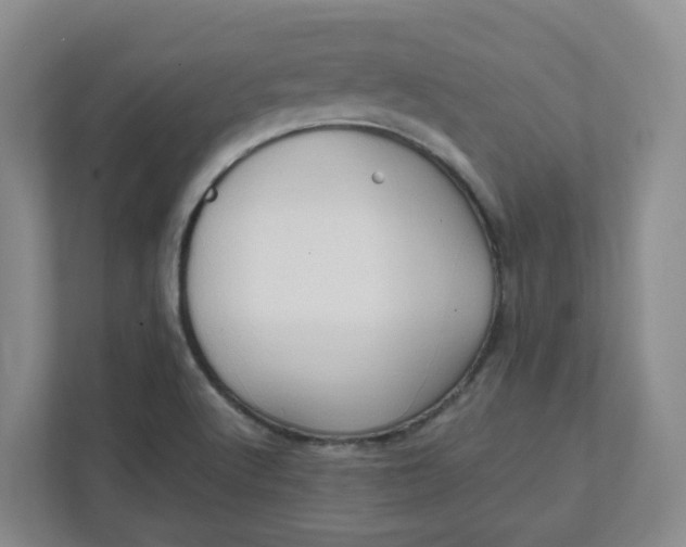 X0000111951512200908101212