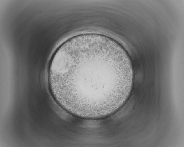 X0000111951514200908101212
