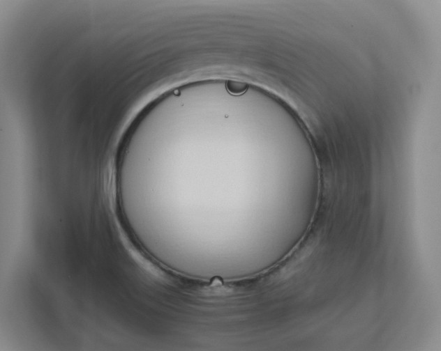 X0000111951515200908101212