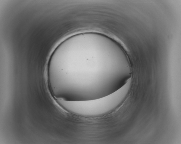X0000111951516200908101212