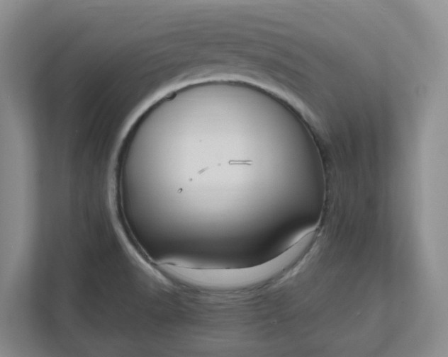 X0000111951518200908101212
