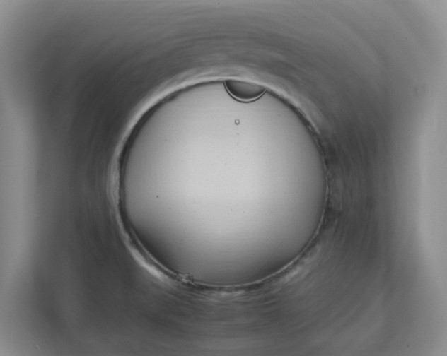 X0000111951519200908101212