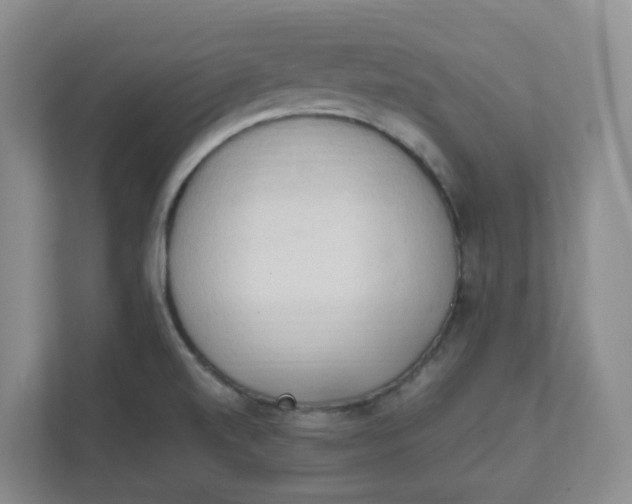 X0000111951520200908101212