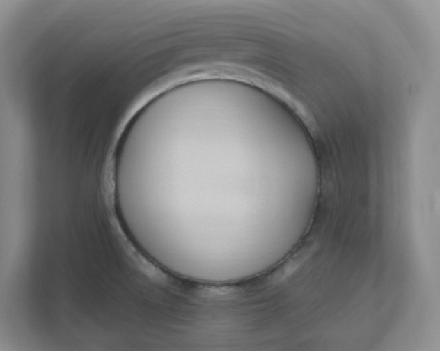 X0000111951522200908101212