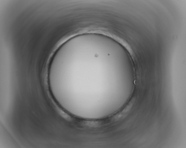X0000111951525200908101212