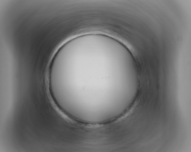 X0000111951526200908101212