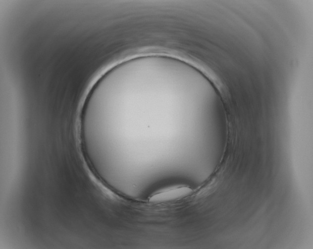 X0000111951527200908101212