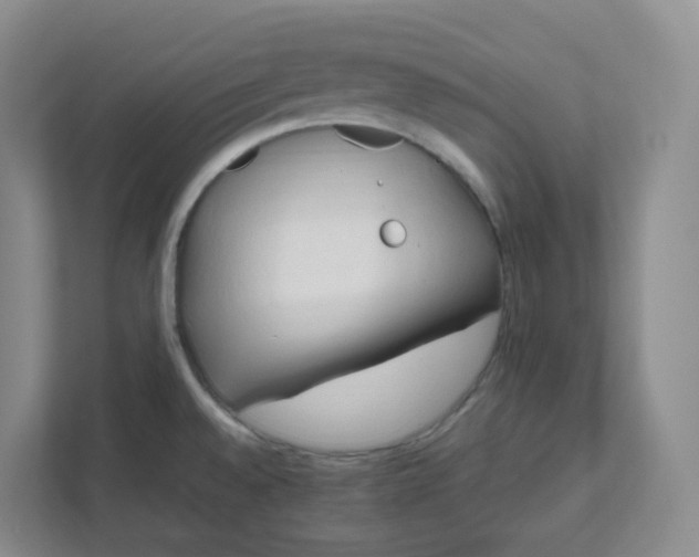 X0000111951528200908101212