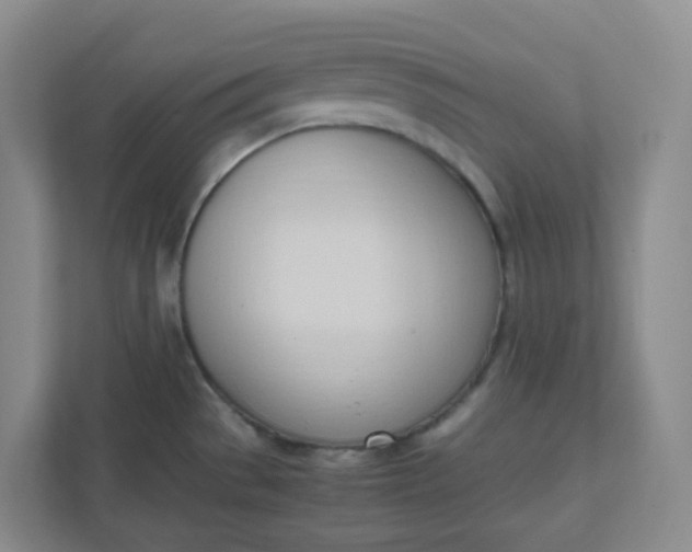 X0000111951529200908101212