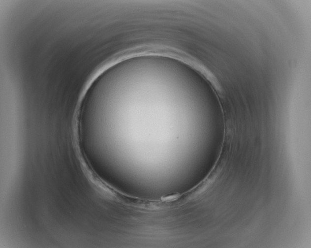 X0000111951530200908101212
