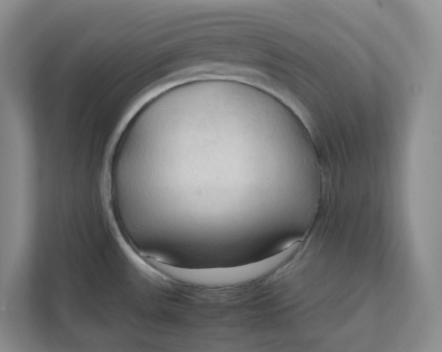 X0000111951531200908101212