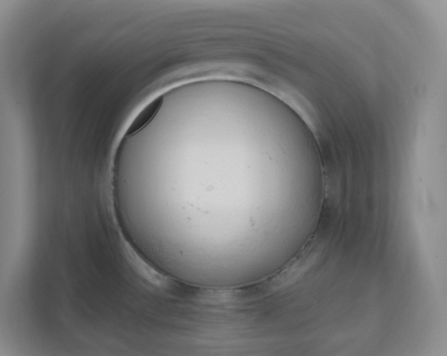 X0000111951532200908101212