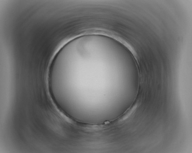 X0000111951533200908101212