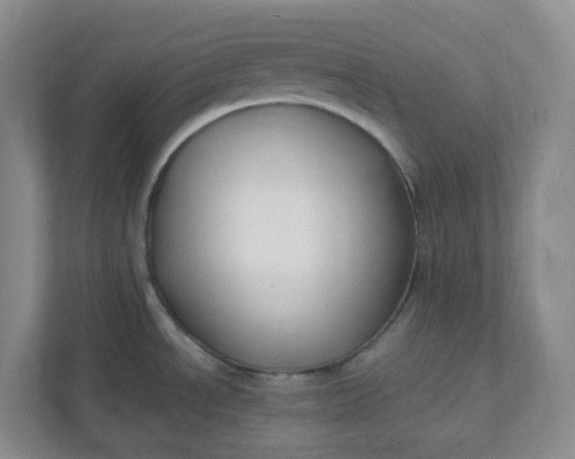 X0000111951534200908101212